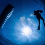 お知らせいろいろ♪