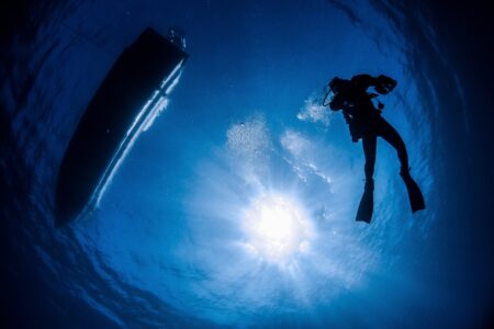 お知らせいろいろ♪