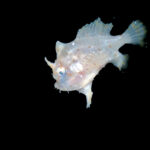 2026/3/26　ナイト