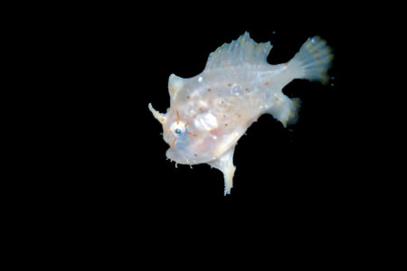 2026/3/26　ナイト